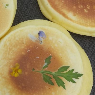 世界一簡単なよもぎのおやつ