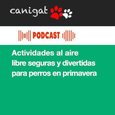 123 - Actividades al aire libre seguras y divertidas para perros en primavera