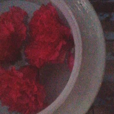 Bae - sila (unrequited) Bae - sila (unrequited)