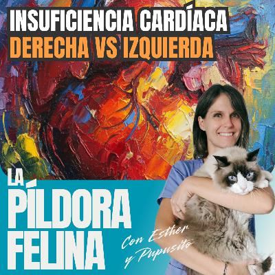 631. Insuficiencia cardíaca DERECHA VS IZQUIERDA 631. Insuficiencia cardíaca DERECHA VS IZQUIERDA