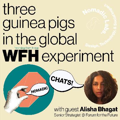 Notes from three guinea pigs in the global work-from-home experiment