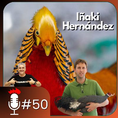 🎙️ Hablando de FAISANES DEL MUNDO | Podcast #50 con Iñaki Hernández, de @zoologicokoki