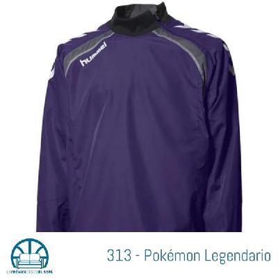 313 - Pokémon Legendario