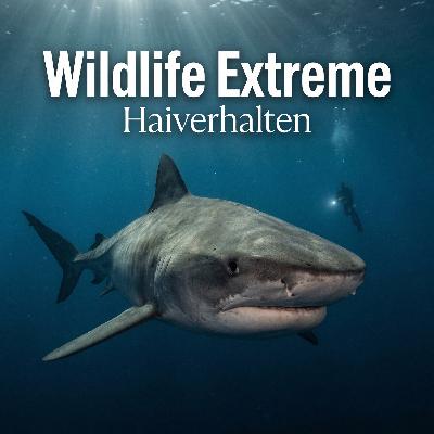 Die Haiflüsterin! DIE Hai Verhaltensbiologin, Anna Renner, zu Gast