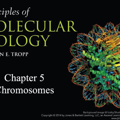 Chromosomes Tropp Chapter 5