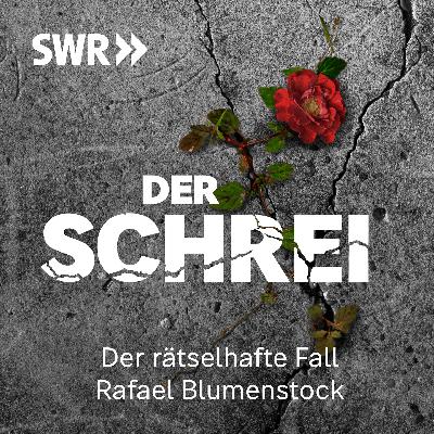 Podcast-Tipp: "Der Schrei - der rätselhafte Fall des Rafael Blumenstock"