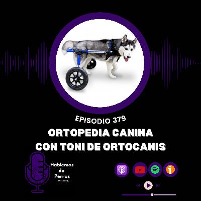 EP#379: Ortopedia Canina con Toni de Ortocanis