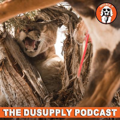 Shop Talk | Non-Resident Lion Tags & Quotas Shop Talk | Non-Resident Lion Tags & Quotas