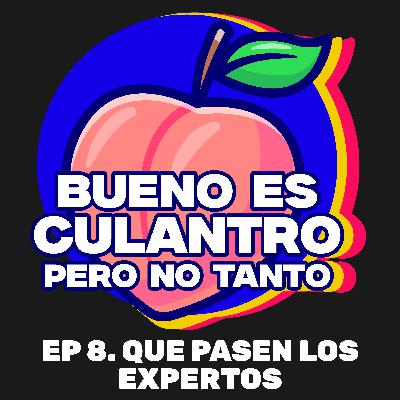 Que pasen los expertos