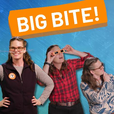 Chameleons, jellyfish and ballerinas! Check out But Why Bites