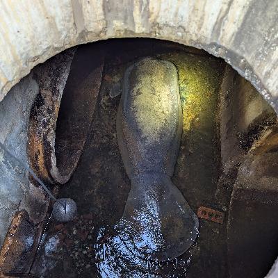 Manatee Rescue