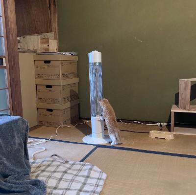 #1409 映画「福田村事件」 from Radiotalk