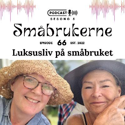 Luksusliv på småbruket