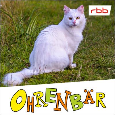 Carlo und die Clownskatze | Die komplette Hörgeschichte! Carlo und die Clownskatze | Die komplette Hörgeschichte!