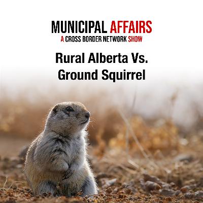 Rural Alberta VS. Richardson Ground Squirrel