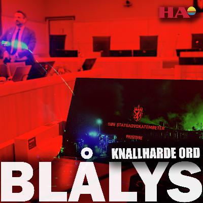 De siste ordene i Løten-saken: – Hun er skamløs og villig til å si hva som helst