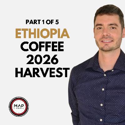 EP 951 - Part 1 of 5: Ethiopia’s 2026 Coffee Harvest - Matthew Thornton
