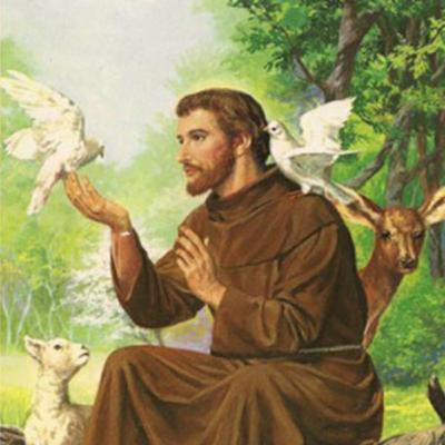 #49 - Oração de São Francisco de Assis #49 - Oração de São Francisco de Assis