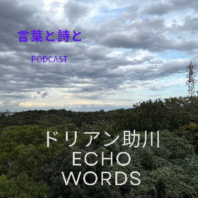 #24 三宅島(2)クジラの大ジャンプ #24 三宅島(2)クジラの大ジャンプ