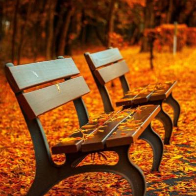 Dopoludnie na InfoVojne s Adrianom 30.10.2025 Dopoludnie na InfoVojne s Adrianom 30.10.2025