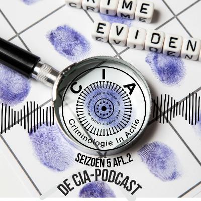 Veilig Thuis en Femicide - In gesprek met Kylianne Teuben