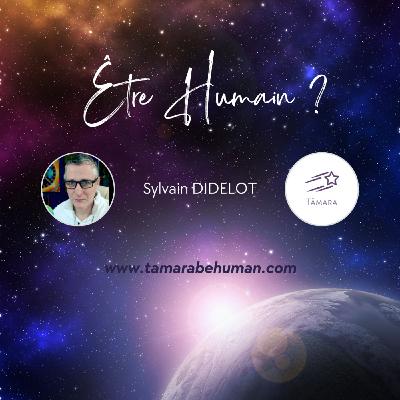 Sylvain DIDELOT