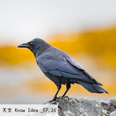 《114年度天文Know Idea》EP.26 - 多嘴的懲罰：從白羽到黑羽的悲歌
