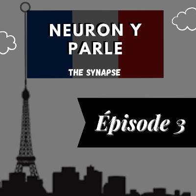 Neuron y Parle - Émission 3 - Docteur Adrian Owen