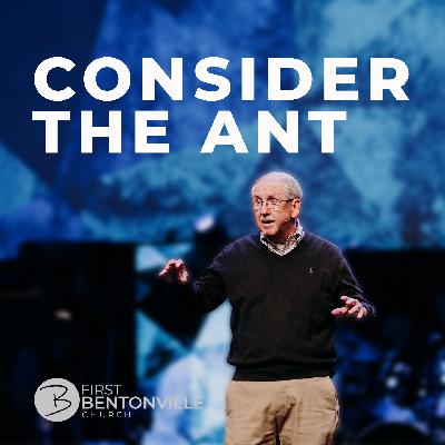 Consider The Ant | Jimmy Dixon Consider The Ant | Jimmy Dixon