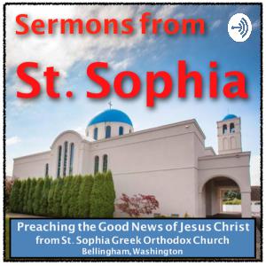 The 8th Sunday of Luke - The Good Samaritan is Christ