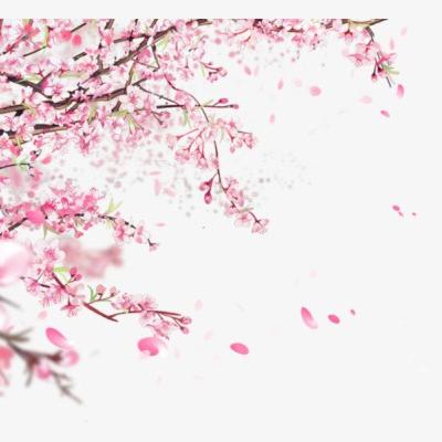 "Xác đào": Mong ước tình cảm gia đình ấm áp