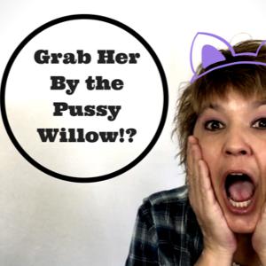 Grab Her by the Pussy Willow!? Grab Her by the Pussy Willow!?