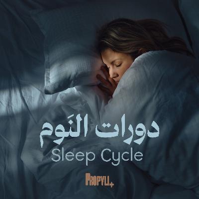 Propyli podcast 14 || Sleep Cycle دورات النوم
