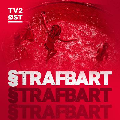 Journalistens hemmelighed Journalistens hemmelighed