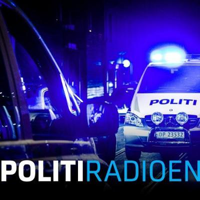 Palantir og predictive policing - to good to be true?