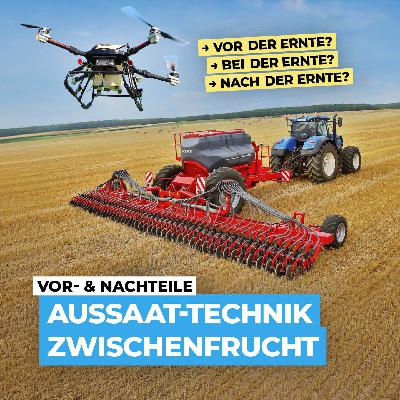 Aussaat-Technik Zwischenfrucht: Vor- & Nachteile