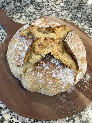 Could Your Gluten Sensitivity Just Be a Sensitivity to the Gluten in Modern Wheat?