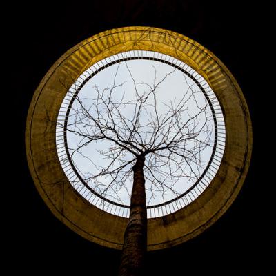 ⓦ 🎬 434 Fusion Terrain: Wenn Architektur Wurzeln schlägt – fotografische Entdeckungen mit Amelie Walter, Max Doemer und die Suche nach dem perfekten Papier