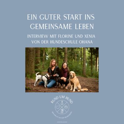Ein guter Start ins gemeinsame Leben - Interview mit Florine & Xenia von der Hundeschule OHANA
