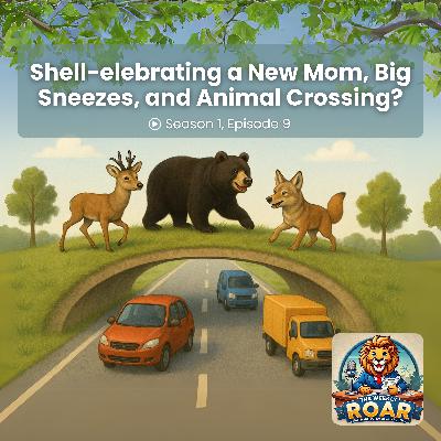 Shell-elebrating a New Mom, Big Sneezes, and Animal Crossing?