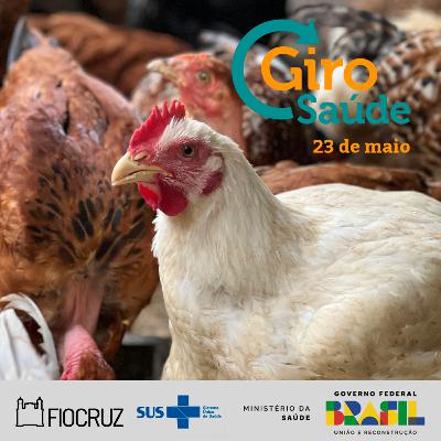 Giro Saúde | Gripe aviária, tadalafila e a 78ª Assembleia Mundial da Saúde