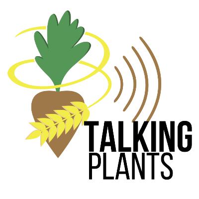 Künstliche Intelligenz, Echte Ernte!