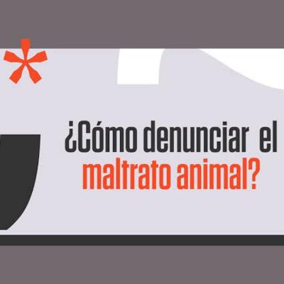 Denuncia por Maltrato Animal.