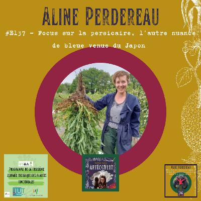 Aline Perdereau - Kerliviou - La persicaire, ce bleu venu du Japon
