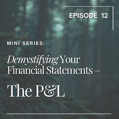 12. Mini-Series: Demystifying Your Financial Statements - P&L