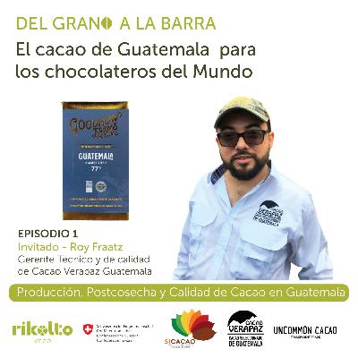 Produccion, Postcosecha y Calidad de Cacao en Guatemala