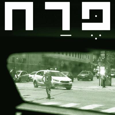 פרח עושה את הדברים שבזכותם אני חיה