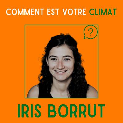 Le vin face au changement climatique - Iris Borrut, Directrice des Vignerons Engagés