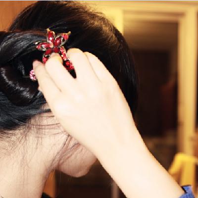 10 听圈圈练习荷兰语之十 读课文：这是一个大家庭