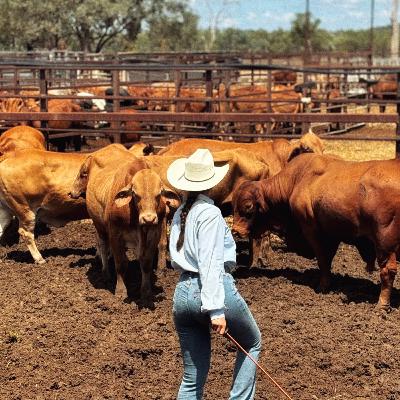 Travailler dans un cattle station en Australie - L'expérience de Lucie